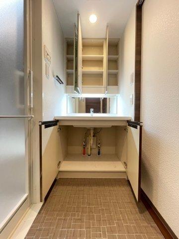 DIPS墨田RIVERSIDE（501） 収納