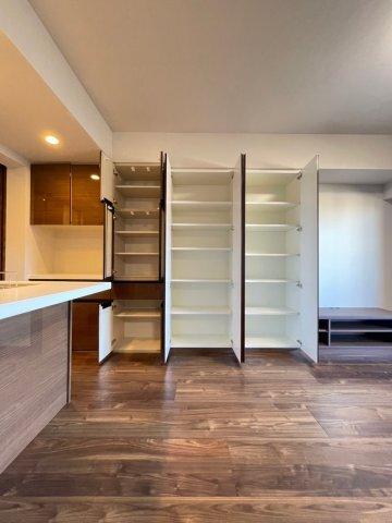DIPS墨田RIVERSIDE（501） 収納
