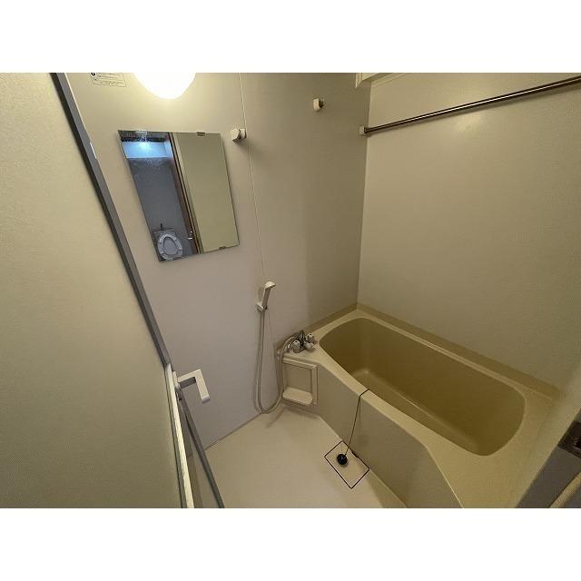 メゾンヌーヴェル（0501） 部屋画像