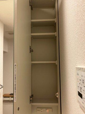 ルーブル清澄白河参番館（208） 収納