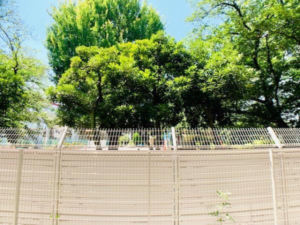 プレシャスカーサ　雑色（108） その他