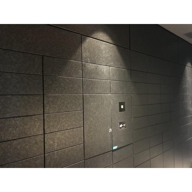ザ・パークハビオ新高円寺（309） 部屋画像
