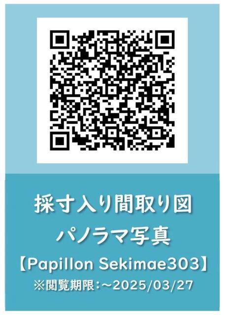 Papillon Sekimae（303） その他