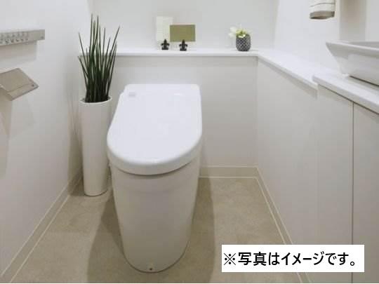 パークリュクス白金monoグレージュ（205） 室内