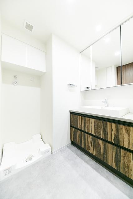 ベルファース錦糸町Ｓｏｕｔｈ（805） 部屋画像