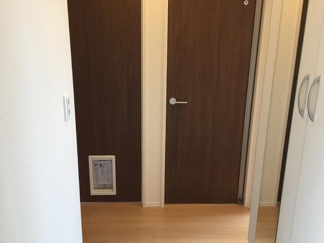 エクセル マルヤマ（301） 部屋画像
