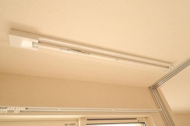 Amapola Annex（アマポーラ アネックス）（113） 部屋画像