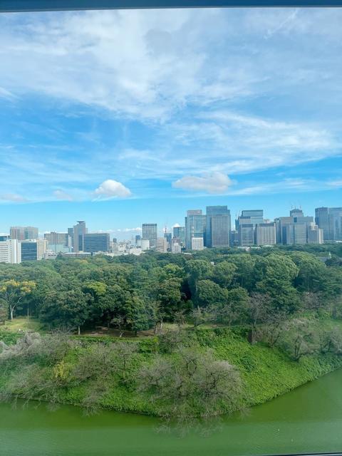 パークマンション千鳥ヶ淵（1103） 部屋画像