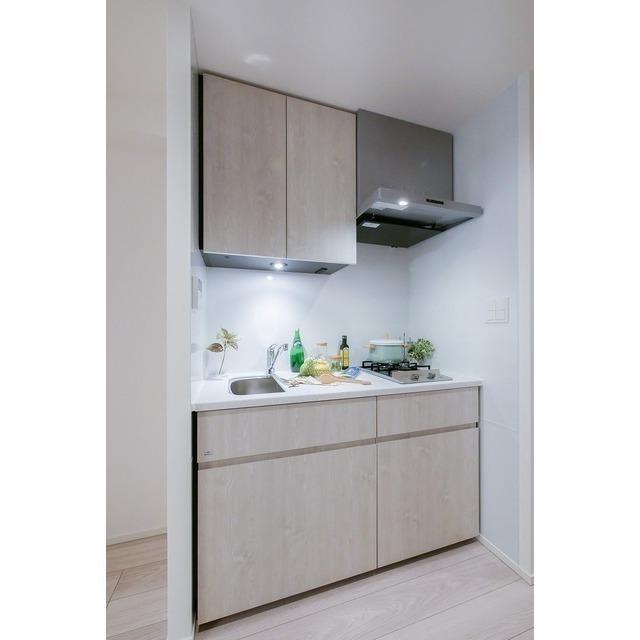 シーズンフラッツ大森西（0208） 部屋画像