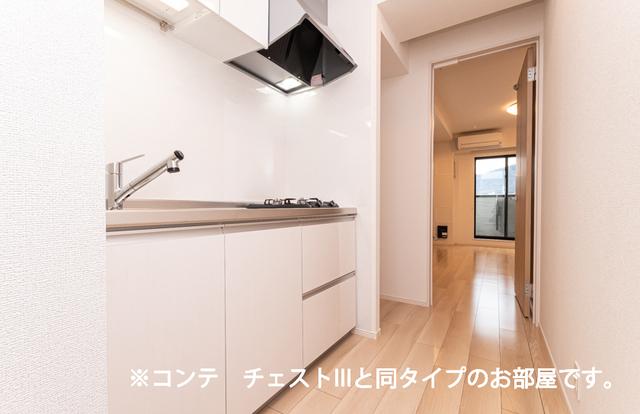 ヒカルサ東川口（301） キッチン