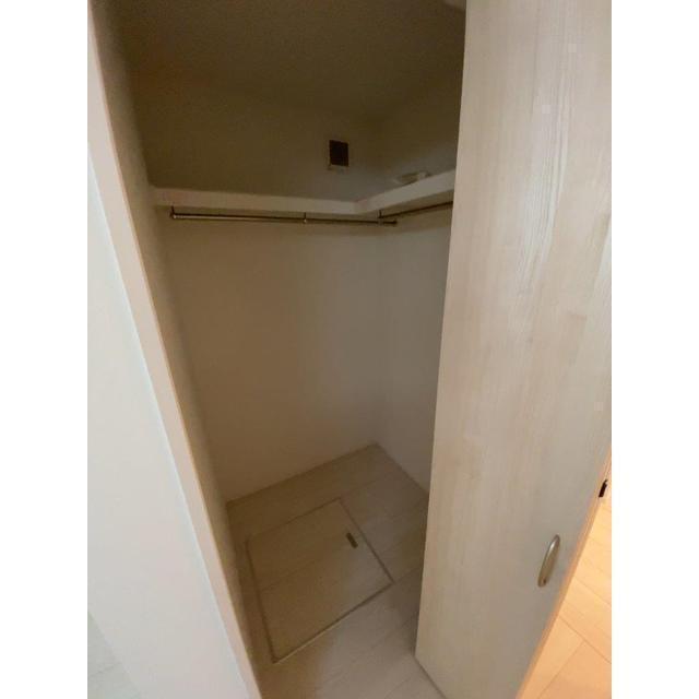 Kolet蓮根 収納
