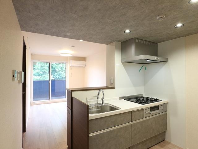 b-kubus(ビークブス)（201） 部屋画像