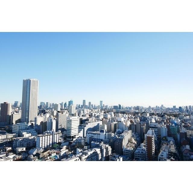 コンフォリア新宿イーストサイドタワー（2511） その他