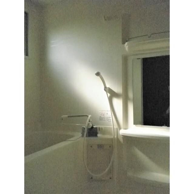 Ｒｏｏｔ（701） バス／シャワー