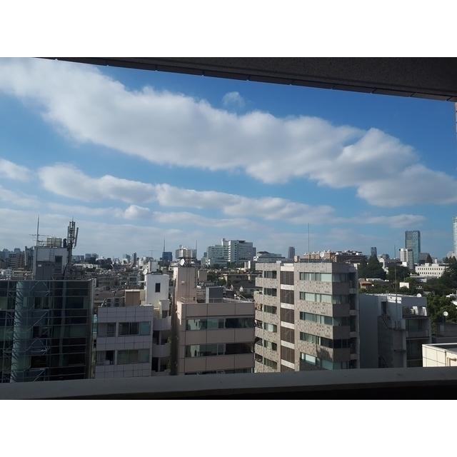 プロスペクト・グラーサ広尾（1101） その他