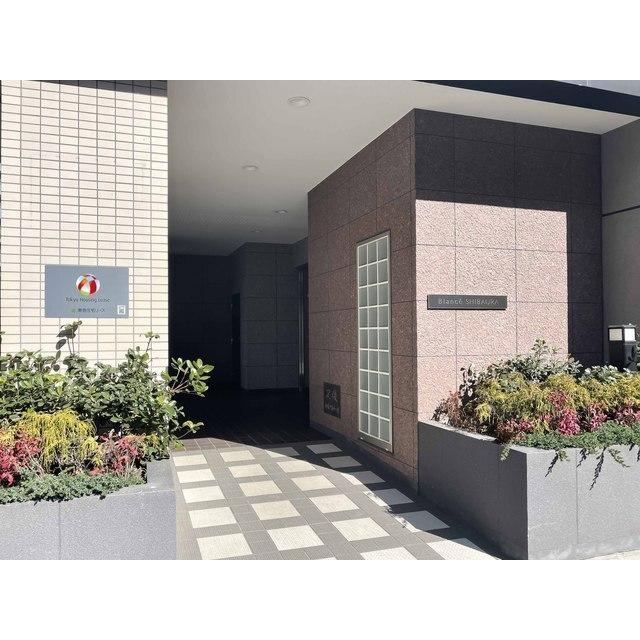 Ｂｌａｎｃｅ　ＳＨＩＢＡＵＲＡ（804） その他