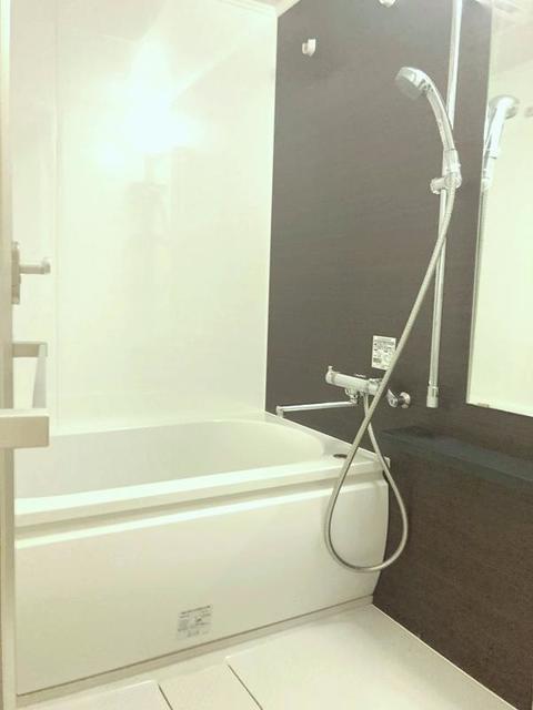 パークアクシス滝野川ラ　ブリーズ（504） 部屋画像