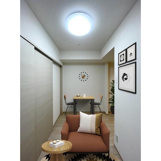 プライマル西大島駅前（0401） 部屋画像