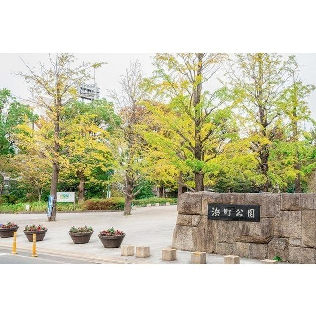 浜町公園：230m