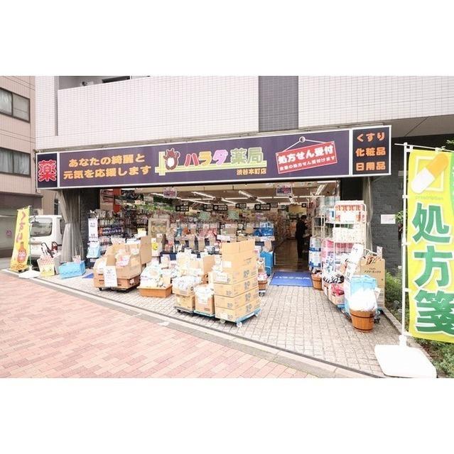 ハラダ薬局：130m