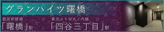 グランハイツ曙橋（902） その他