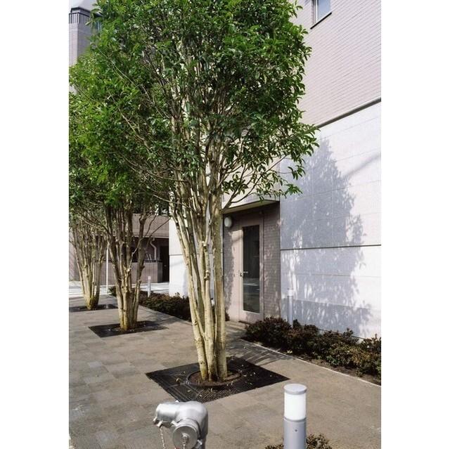 リバーレ池袋（0305） 共有部分