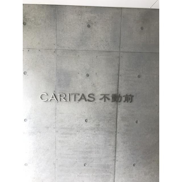 ＣＡＲＩＴＡＳ不動前（404） その他