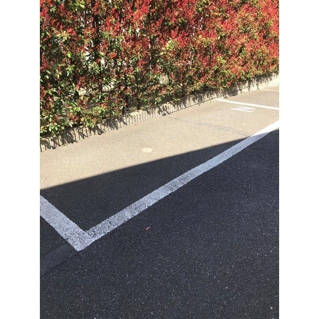 Ｋ’Ｓフラット（0201） 駐車場