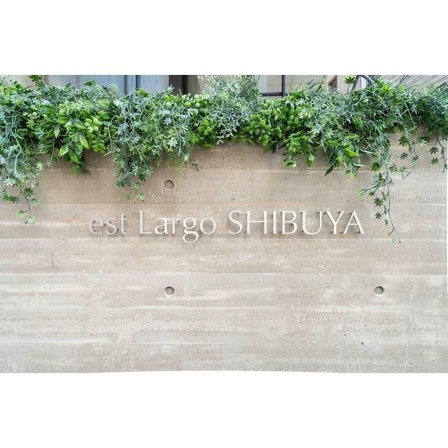 ｅｓｔ　Ｌａｒｇｏ　ＳＨＩＢＵＹＡ（401） 物件画像