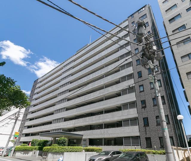 Ｌａｐｙｕｔａ（1206） 外観