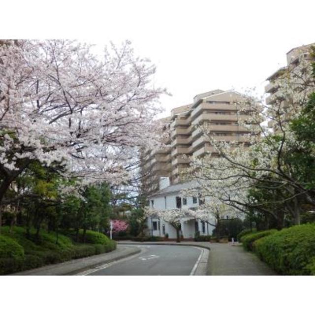 パークシティ本牧Ａ棟（505） 外観