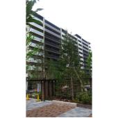 概観　2019.4撮影