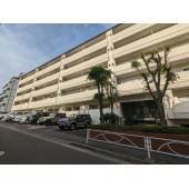 ゾンネンハイム大橋