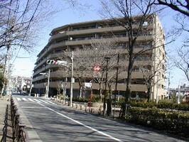 ＫＳ桜川（605） 外観