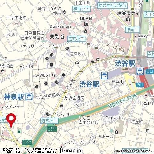 メゾン・ド・ヴィレ渋谷 その他