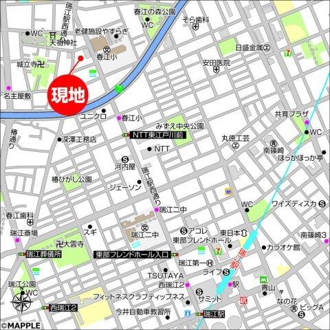カーム　カモミール（103） その他
