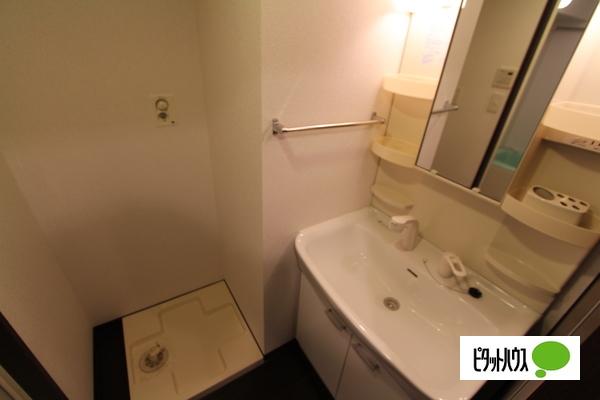 カルティエアラタマ（205） 部屋画像