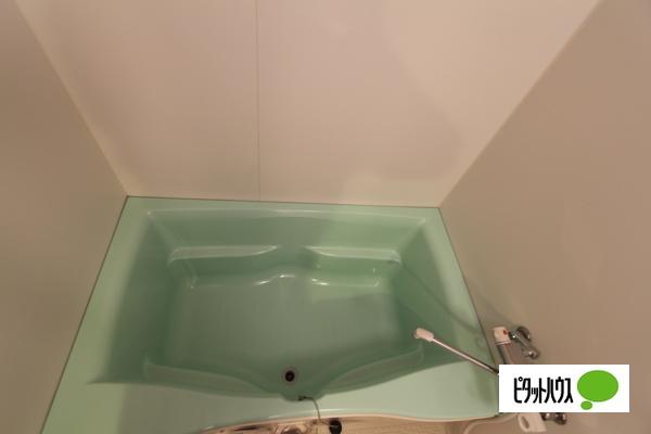 カルティエアラタマ（205） 部屋画像