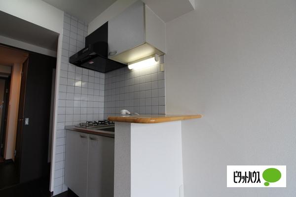 カルティエアラタマ（205） 部屋画像