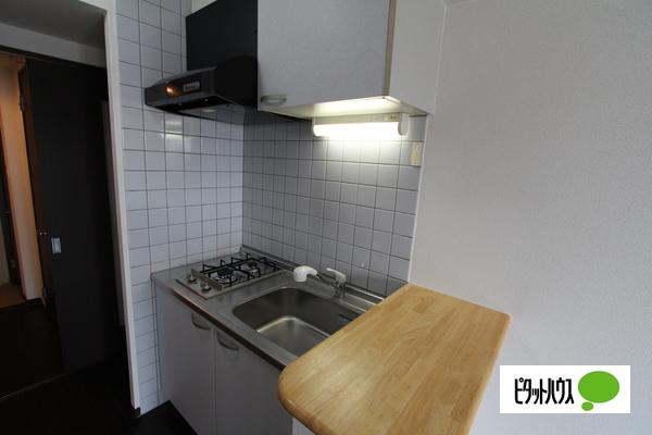 カルティエアラタマ（205） 部屋画像