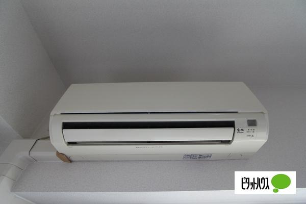 カルティエアラタマ（205） 部屋画像