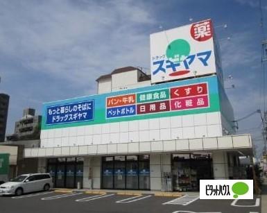 ドラッグスギヤマ石川橋店：585m