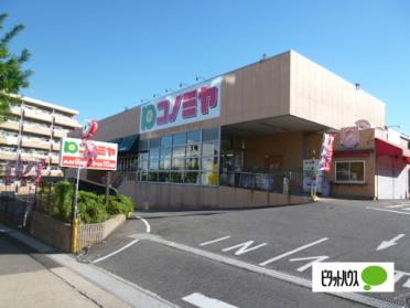 コノミヤ菅田店：1031m