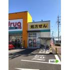 V・drug柴田店：554m