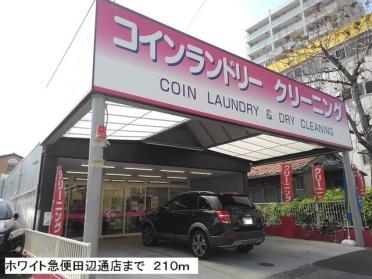 ホワイト急便田辺通店：210m