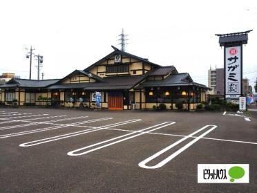 サガミ柴田店：177m