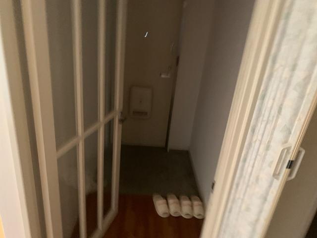 グリーンメゾン 玄関