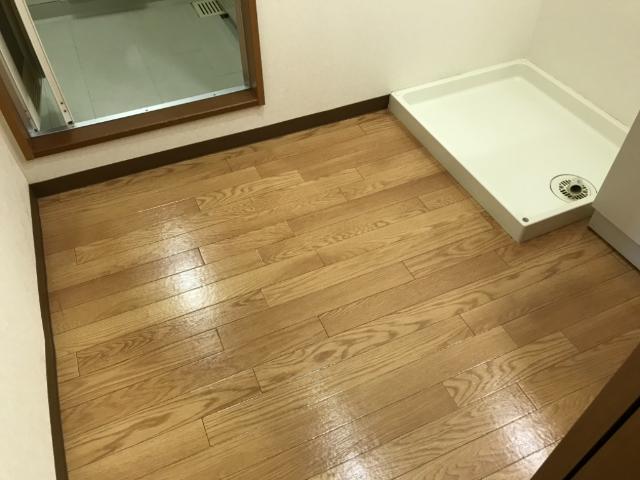 スクエア緑 部屋画像