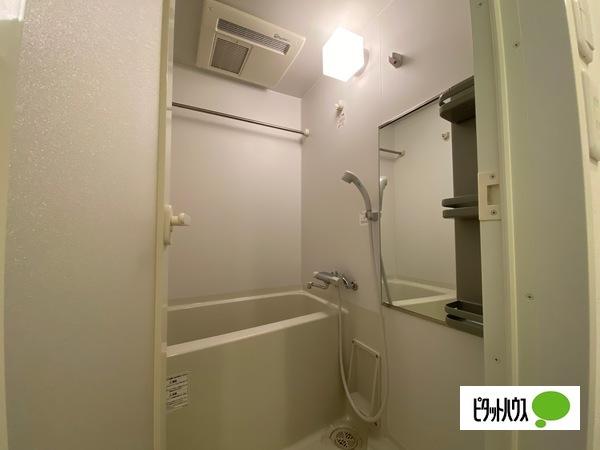 SALT515（401） 部屋画像