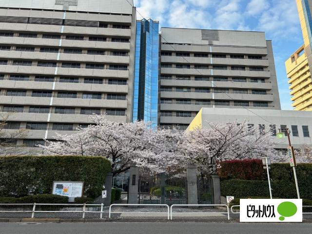 名古屋市立大学：524m